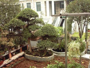 建筑劳务分包 发展脉络、风险洞察与治理路径